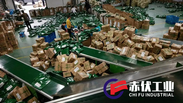 物流中心皮带输送线CF-014(图1) 物流中心皮带输送线CF-014(图1)